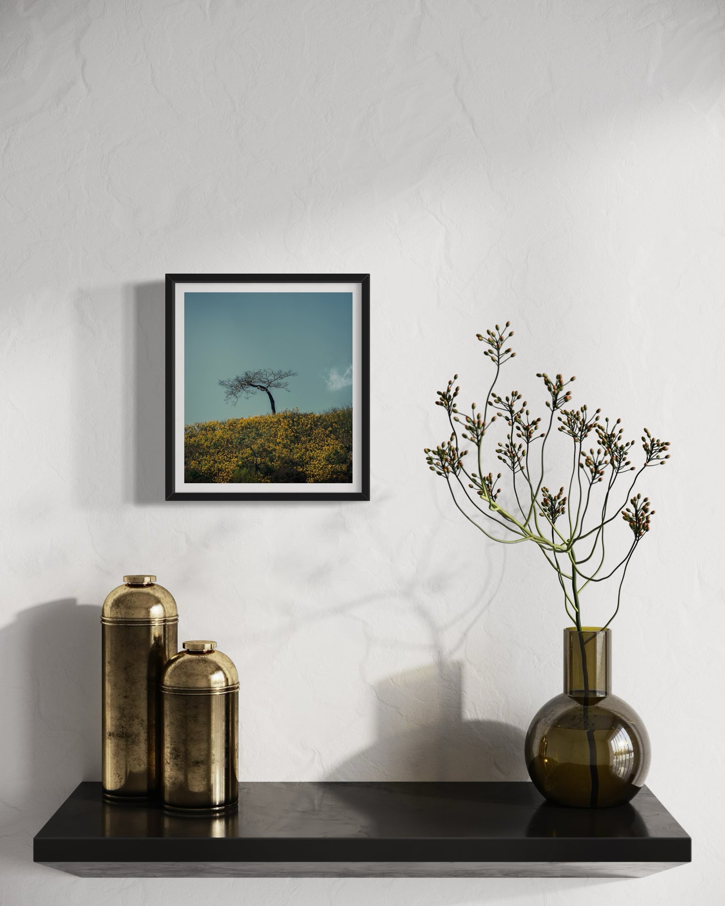 Em Conselheiro uma árvore solitária