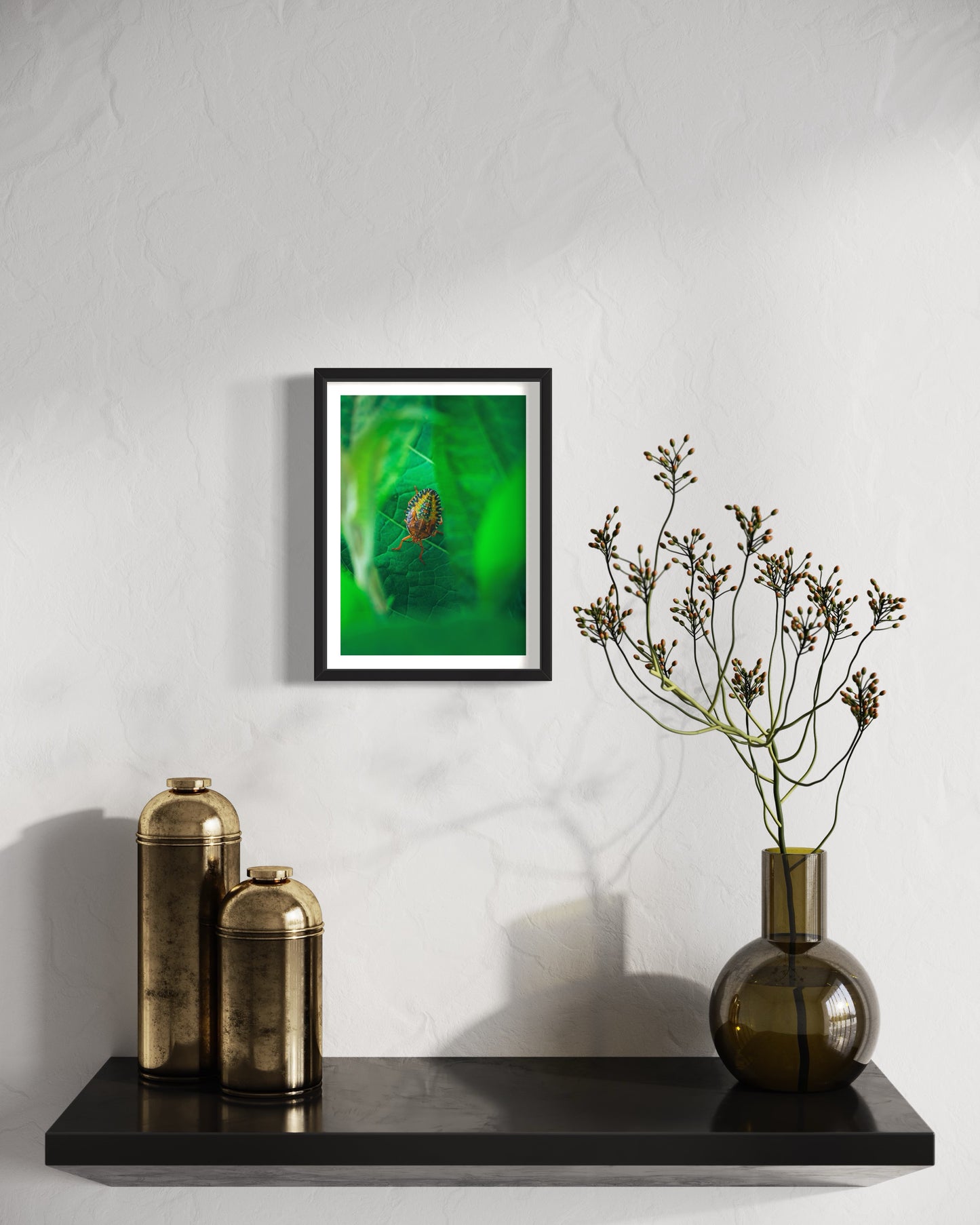 Elton, o percevejo verde