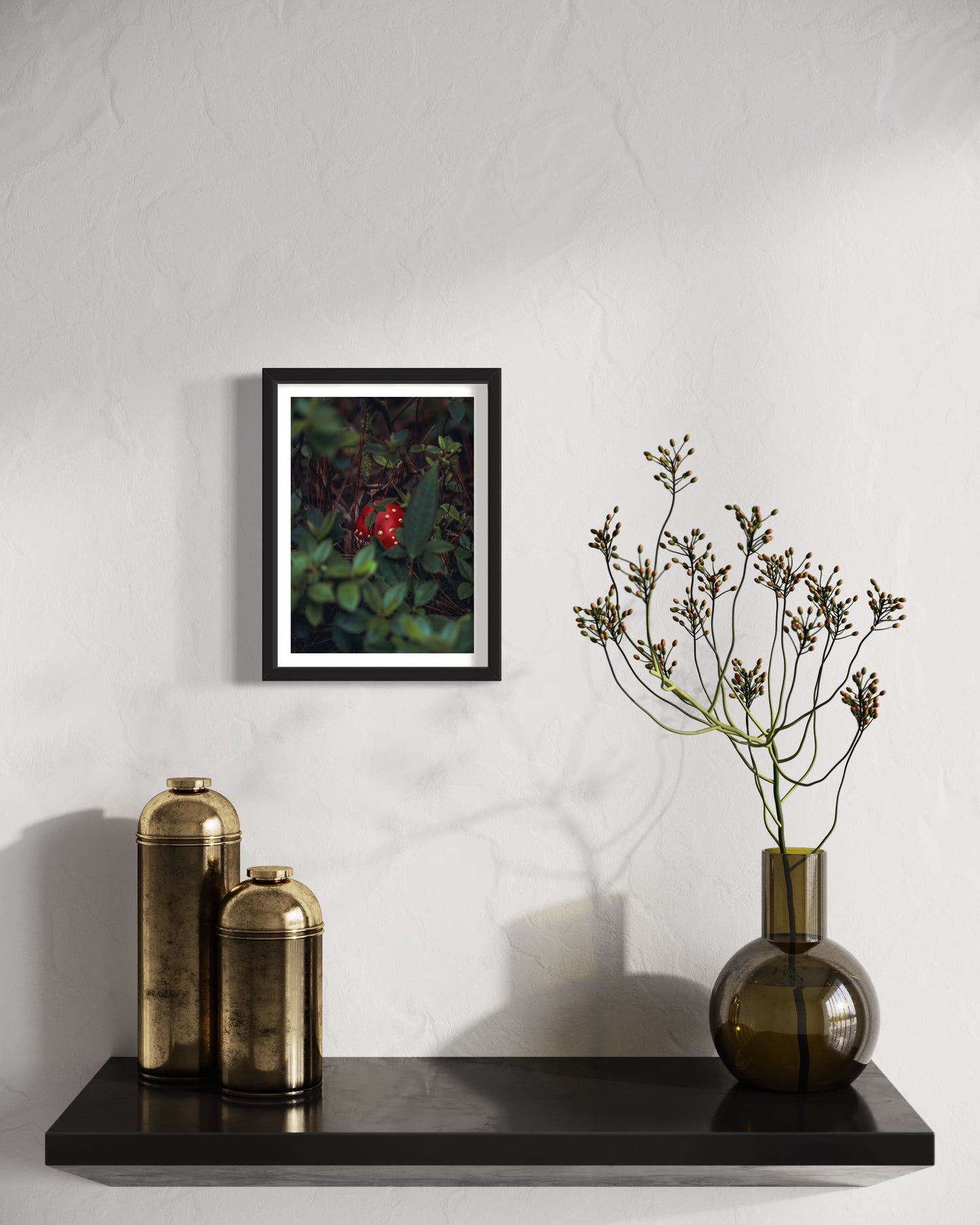 Amanita muscaria em Mury