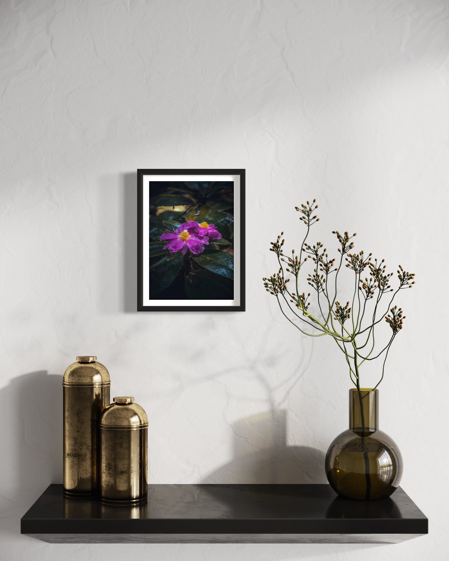 A flor da Ora-Pro-Nóbis