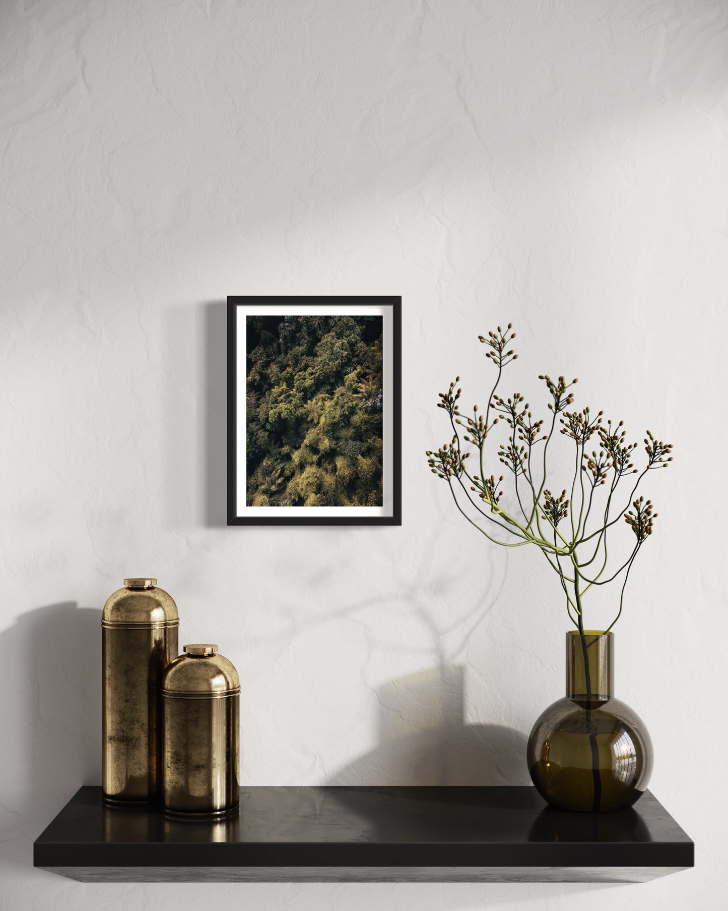 A beleza do Samambaiaçu