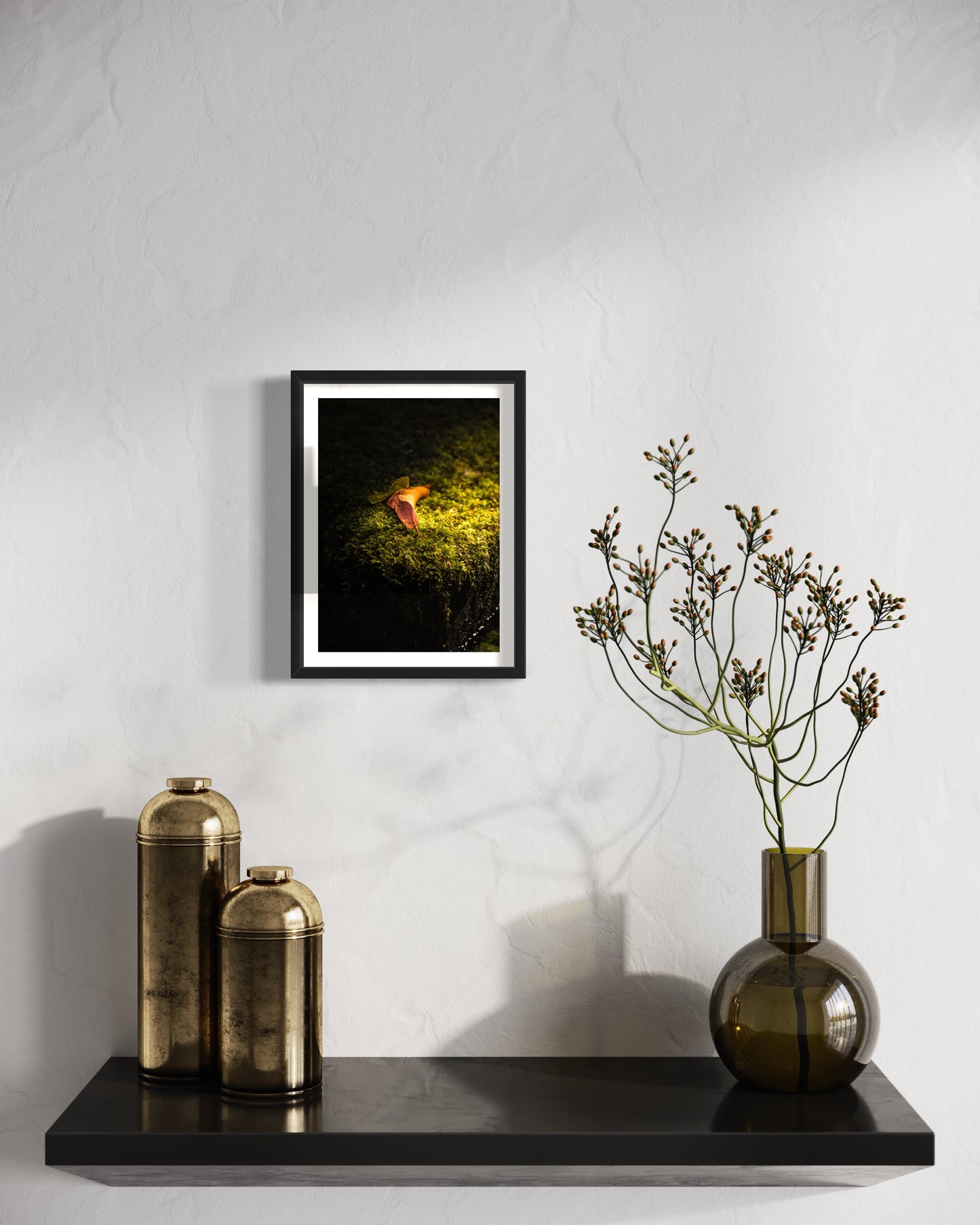 A Folha e Musgo em Mury