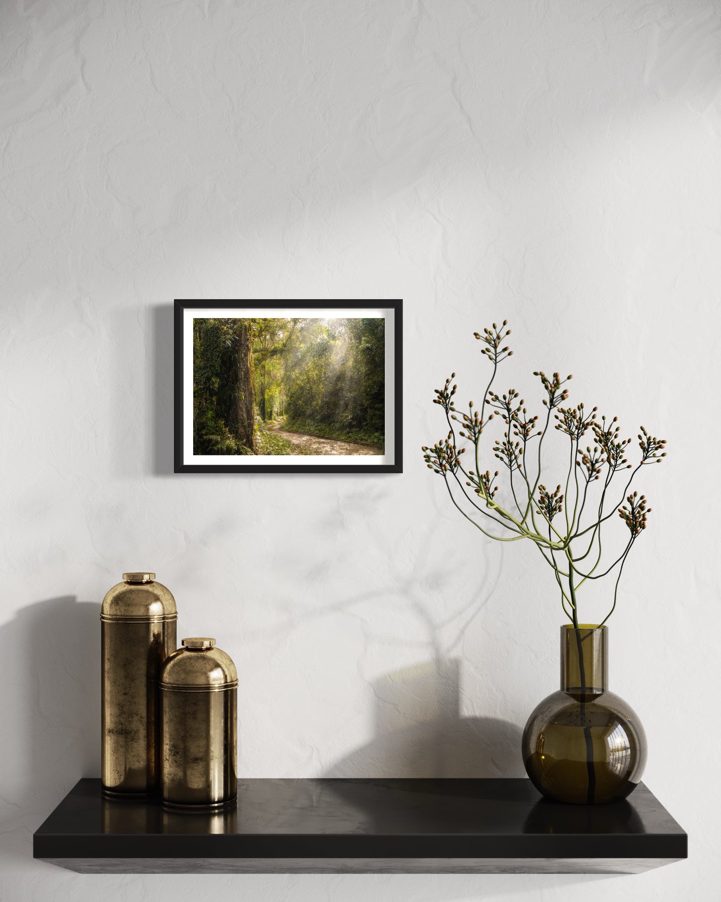 A alameda dos eucaliptos