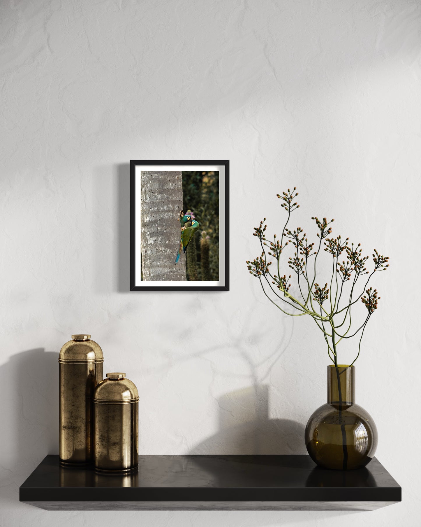 Maritacas do Campo do Coelho