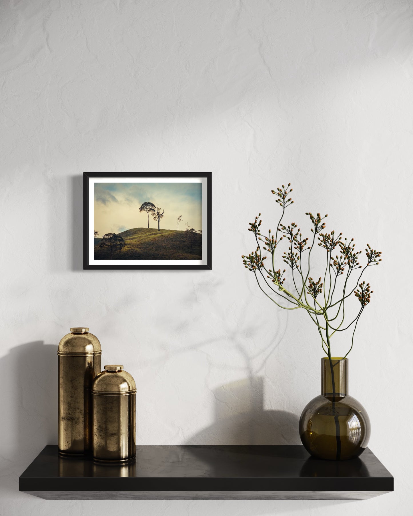 Árvores de Santa Cruz