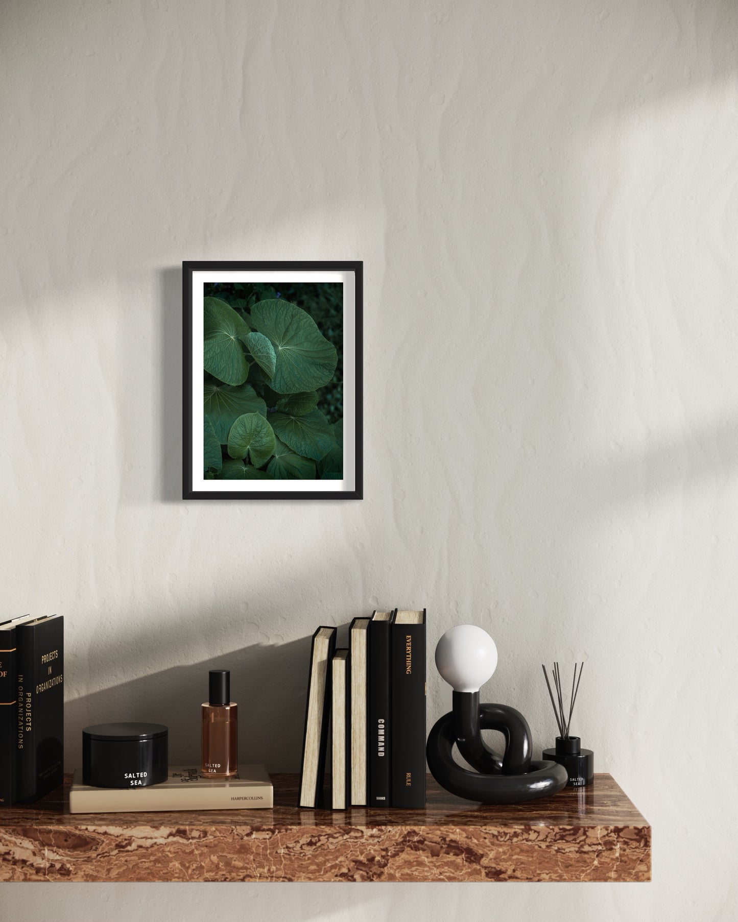 As folhas da Capeba no Cascatinha