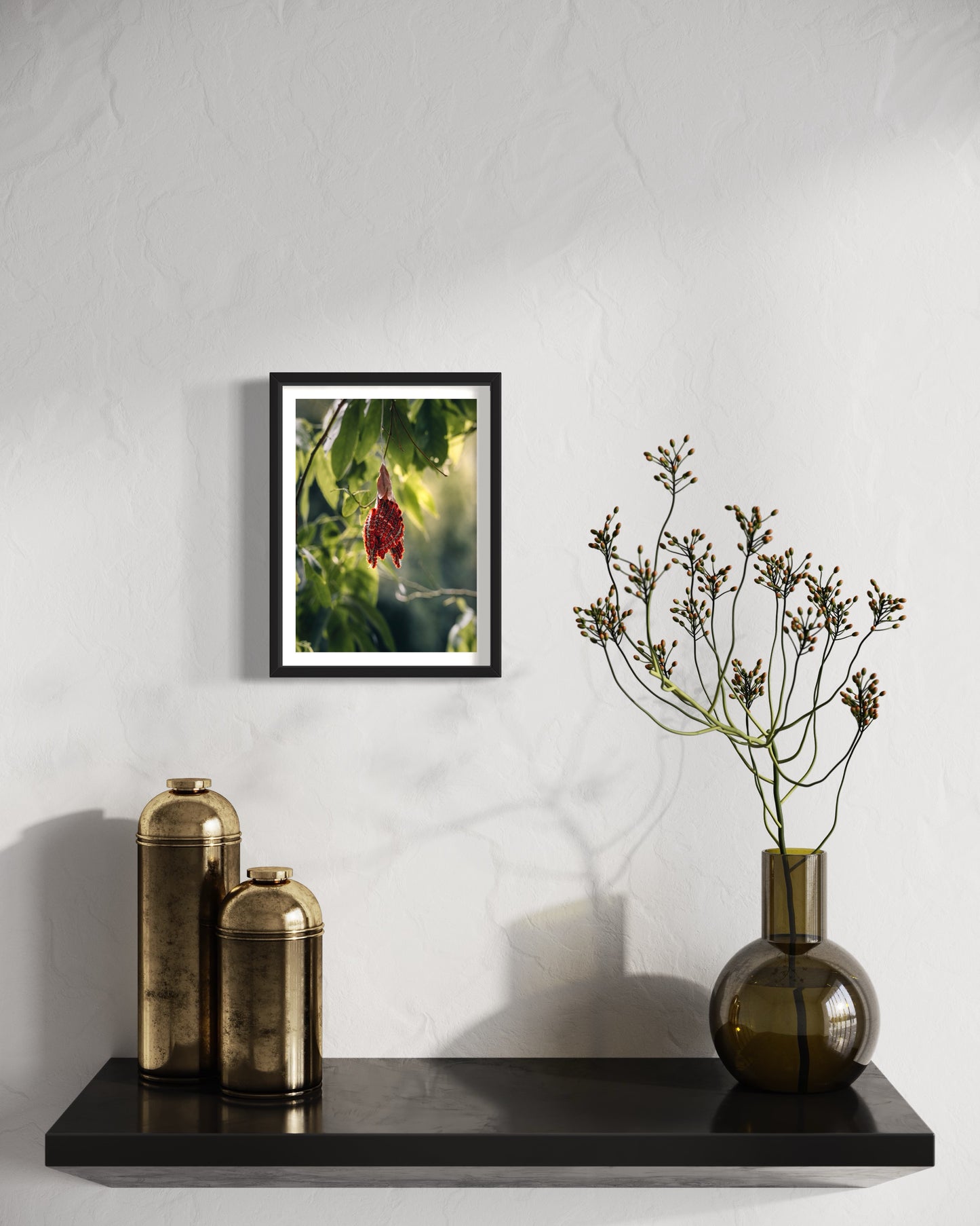 As Lagartas de Macaé de Cima