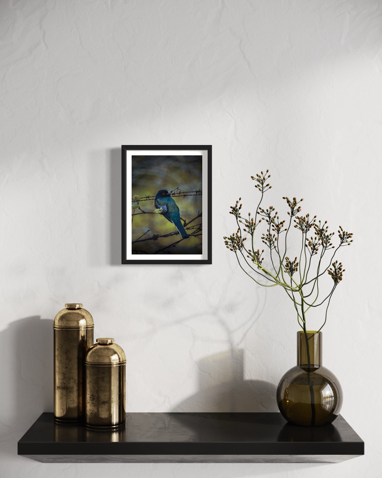 Em Debossan, um Surucuá